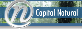 Cliente Capital Natural - Edição Setorial